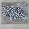 Lori Dedato Art Prints