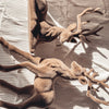 Velvet Brown Deer Set