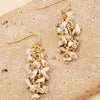 Pebble Stone Beaded Fringe Dangle Earrings