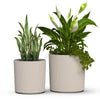 Simara Planter Set