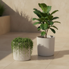 Simara Planter Set