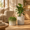 Simara Planter Set