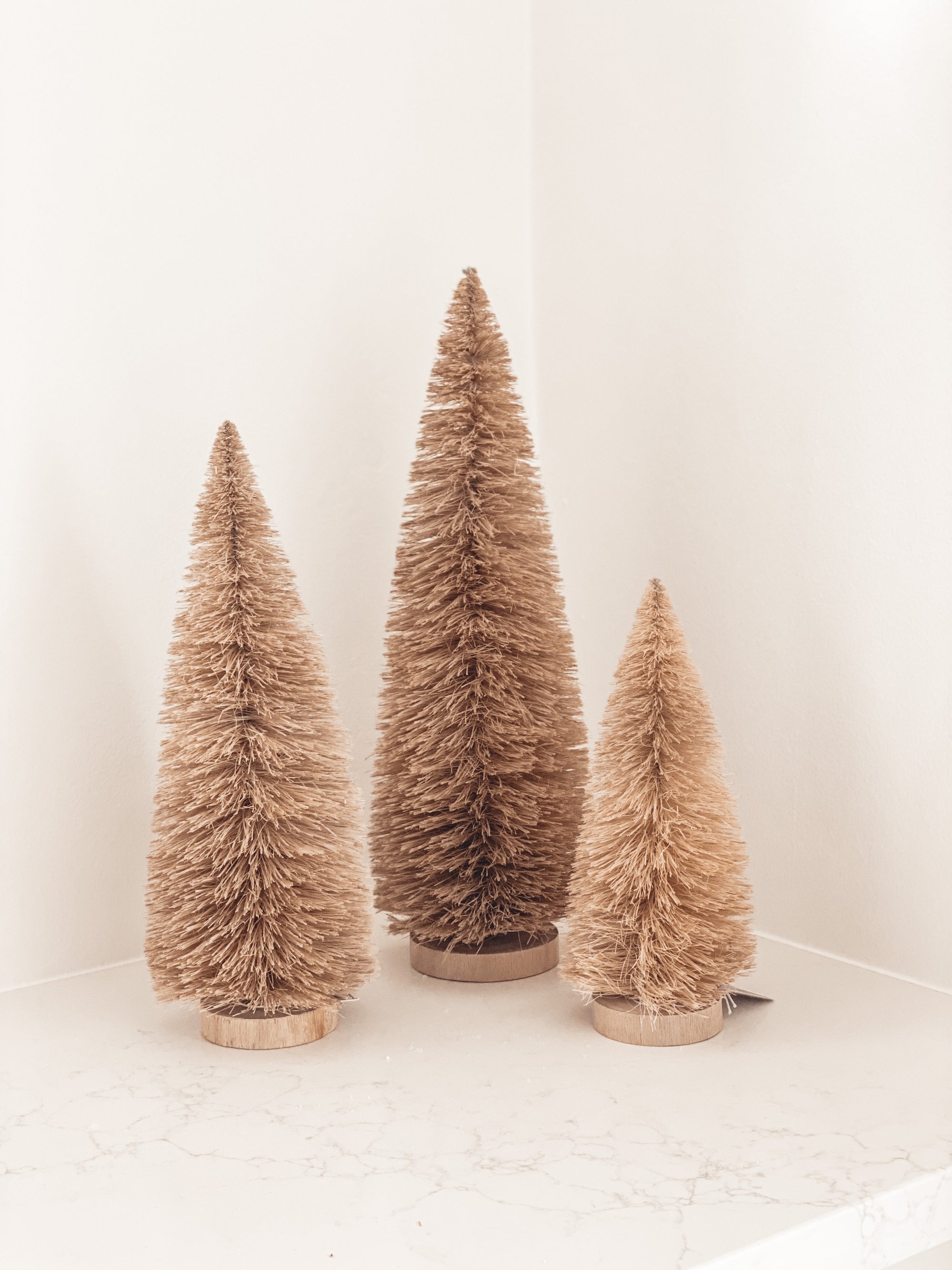 Bottle Tree Brush Set