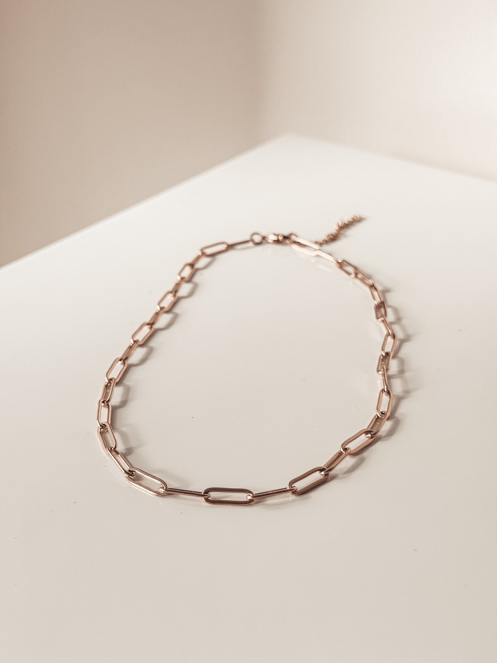 Paperclip Necklace