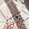 Ski Sponge Cloth