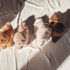 Labradoodle Ornament