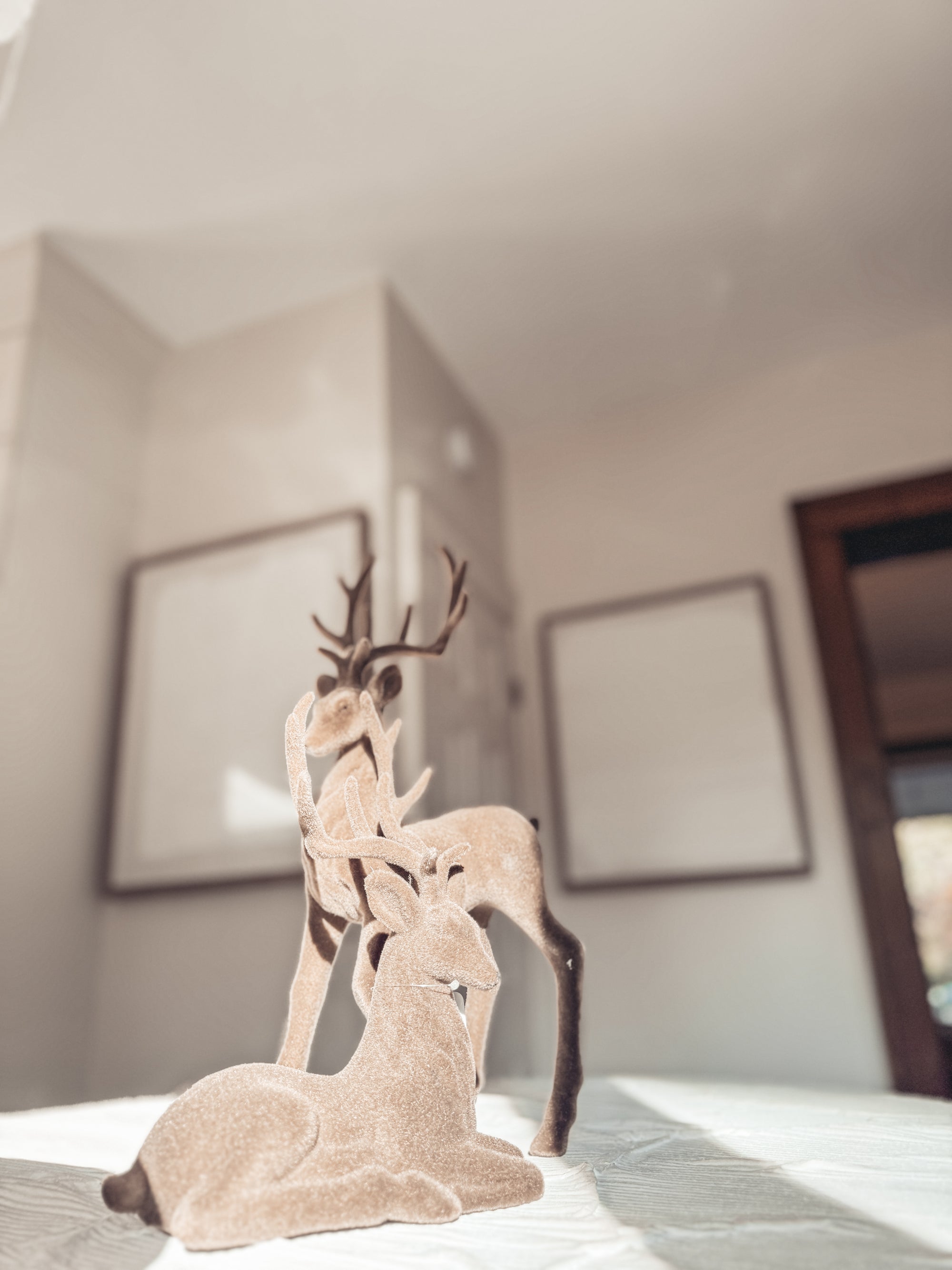 Velvet Brown Deer Set