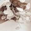 Silver Dollar Bundle