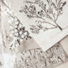 Lori Dedato Art Prints