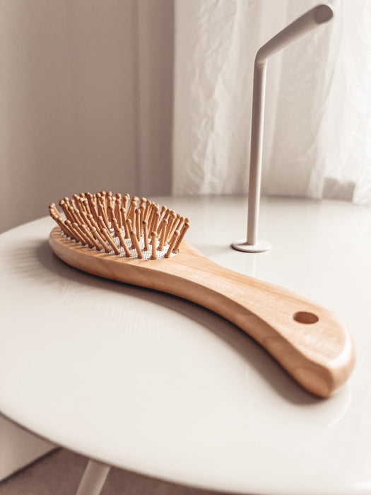 Hair Brush Massager