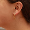 Oval Earrings